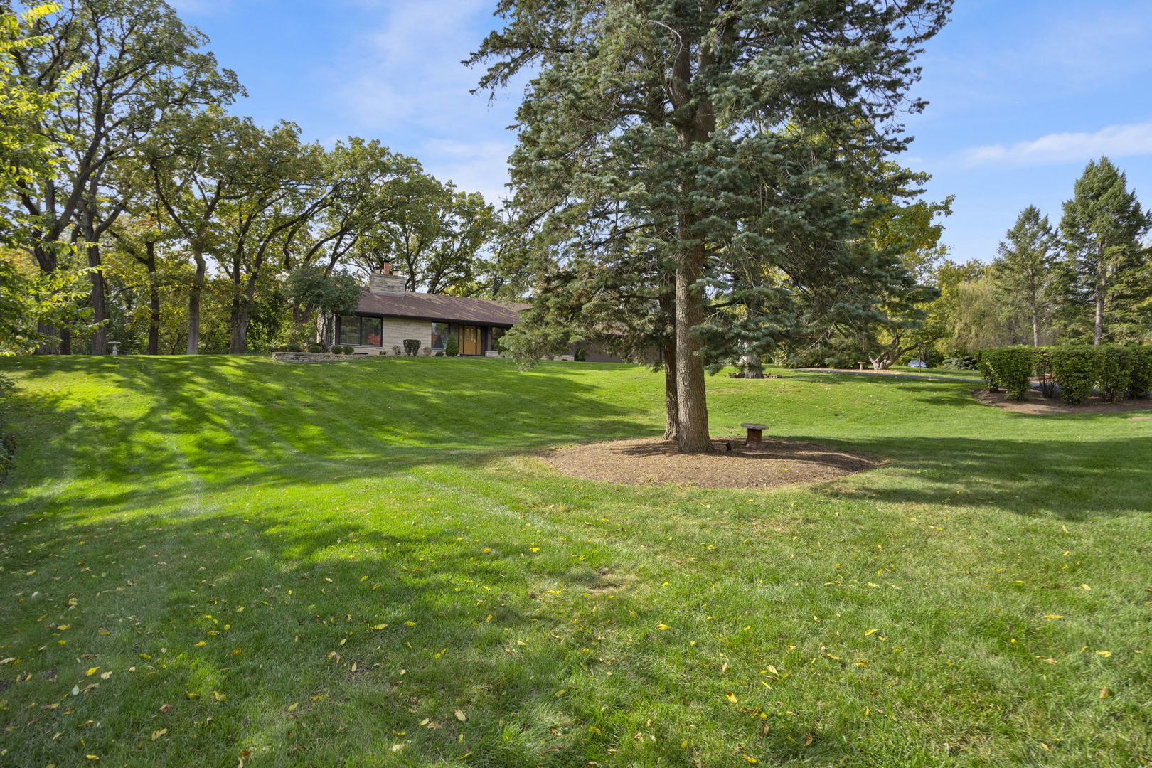 1007 BEAU BRUMMEL Drive, Sleepy Hollow, IL 60118