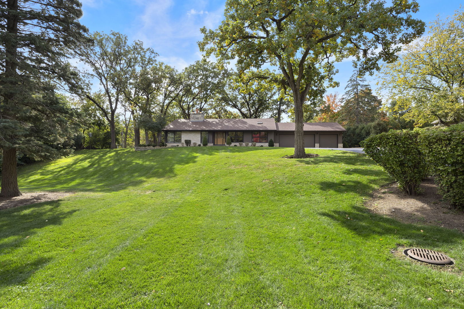 1007 BEAU BRUMMEL Drive, Sleepy Hollow, IL 60118