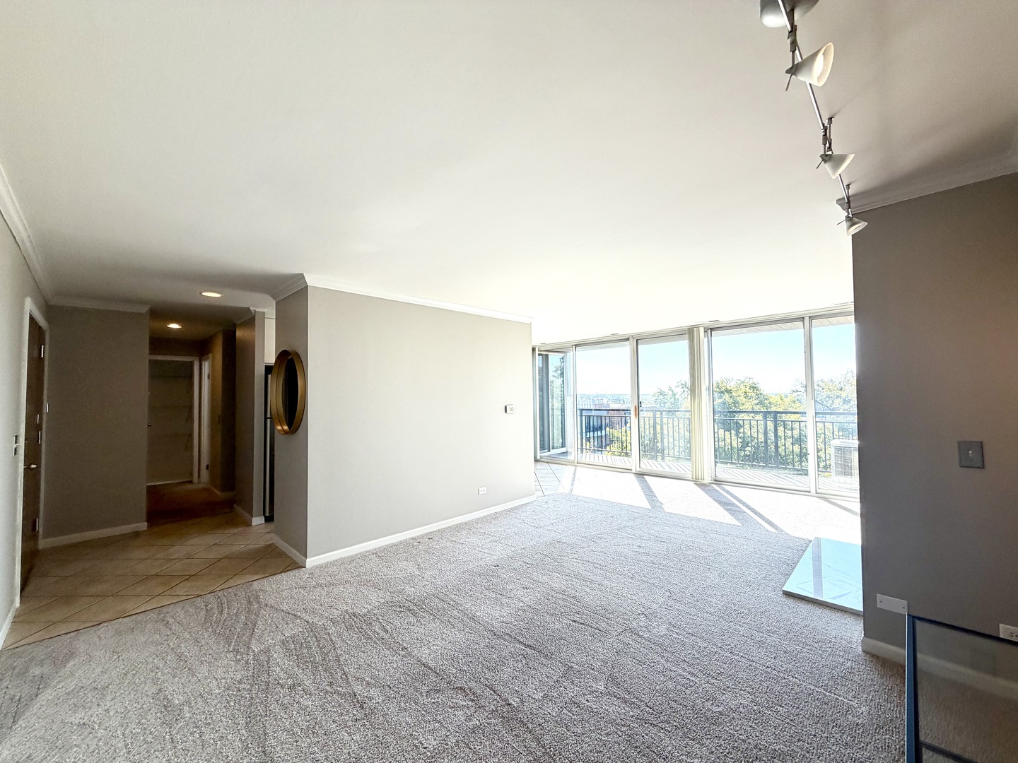 6010 Oakwood Drive #6C, Lisle, IL 60532