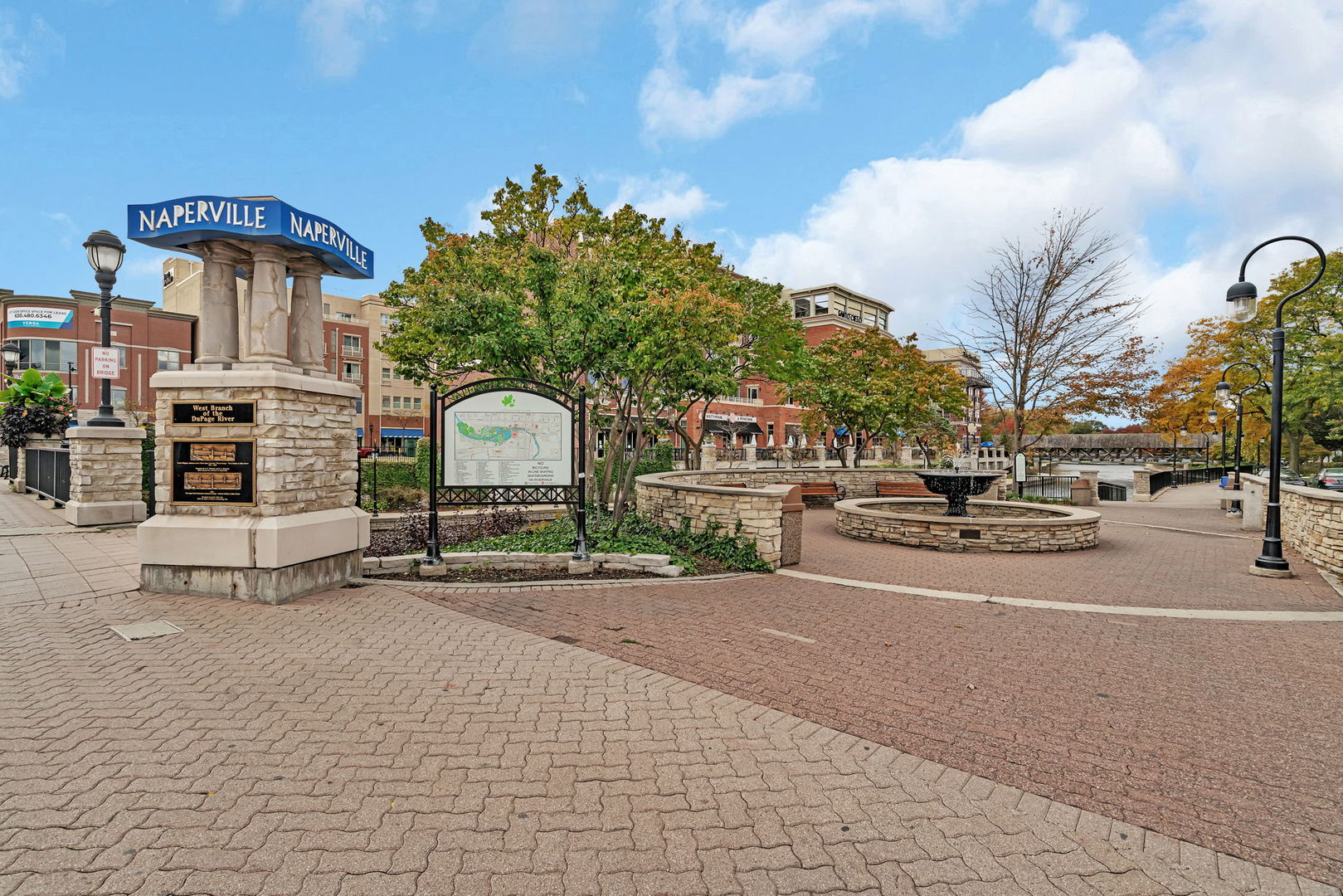 79 Spring Avenue, Naperville, IL 60540