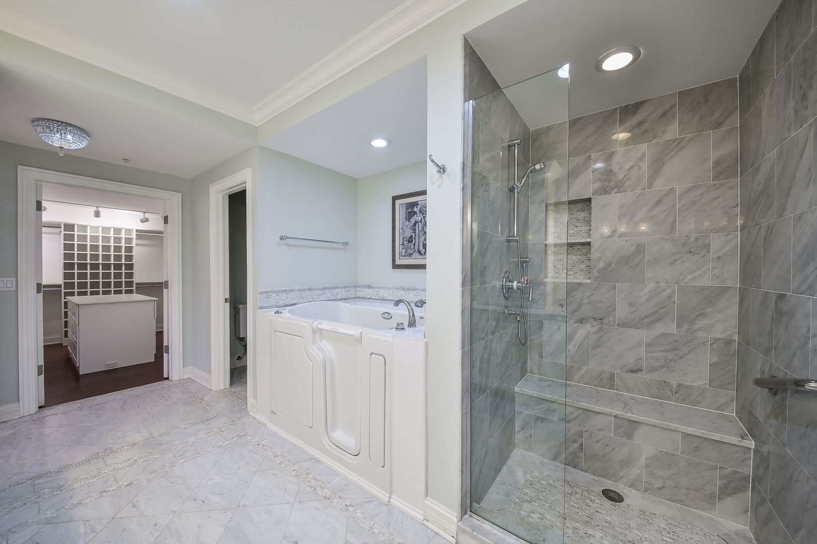 462 Pennsylvania Avenue #1S, Glen Ellyn, IL 60137