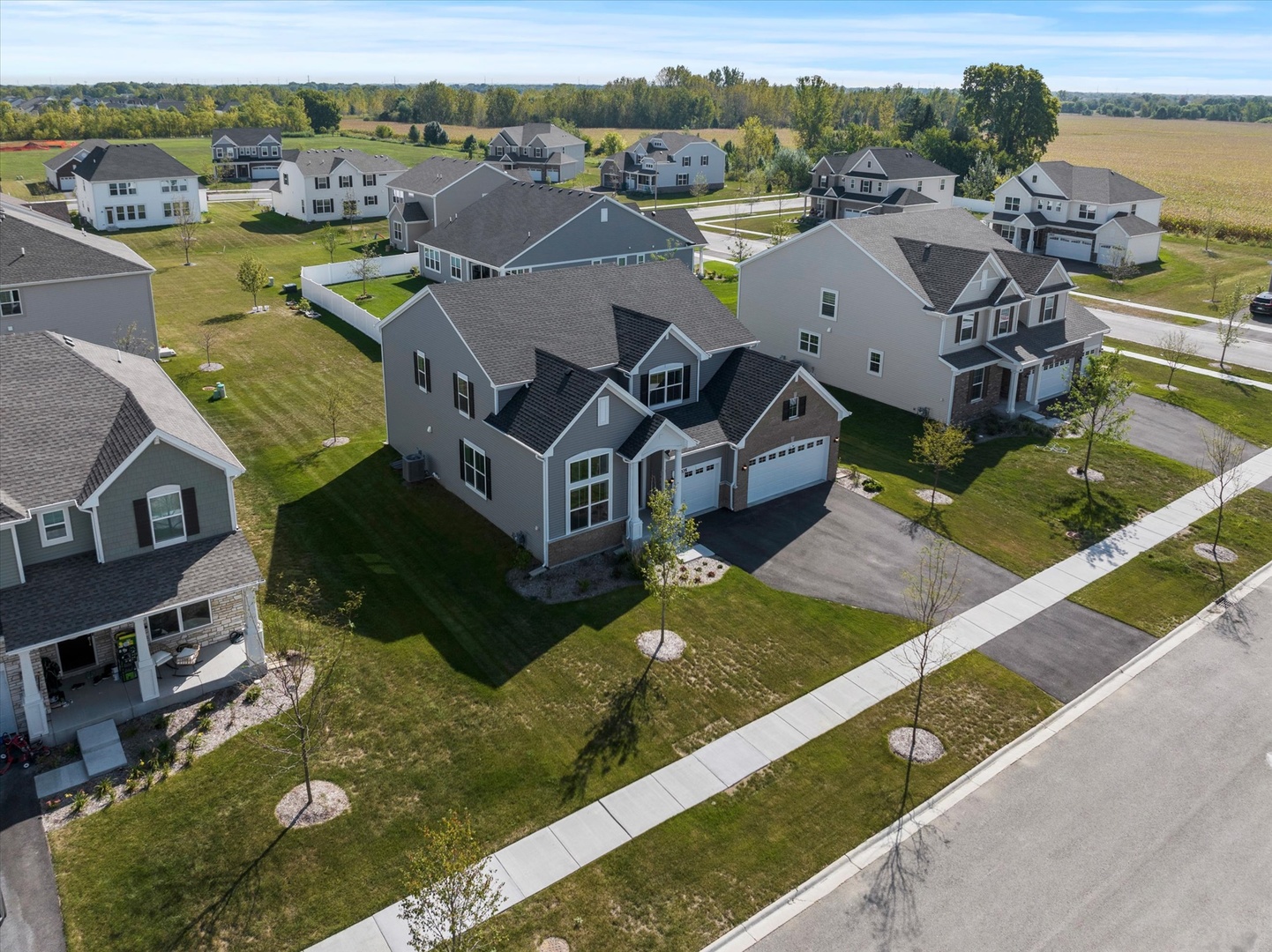 16205 S Summit Street, Plainfield, IL 60586