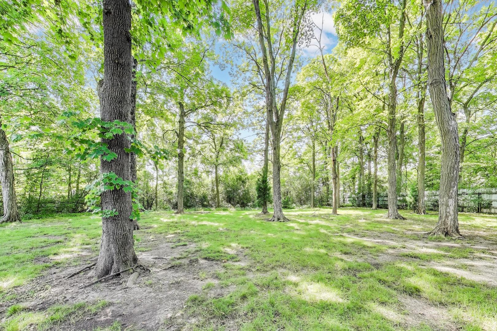 32362 N PINE Avenue, Grayslake, IL 60030