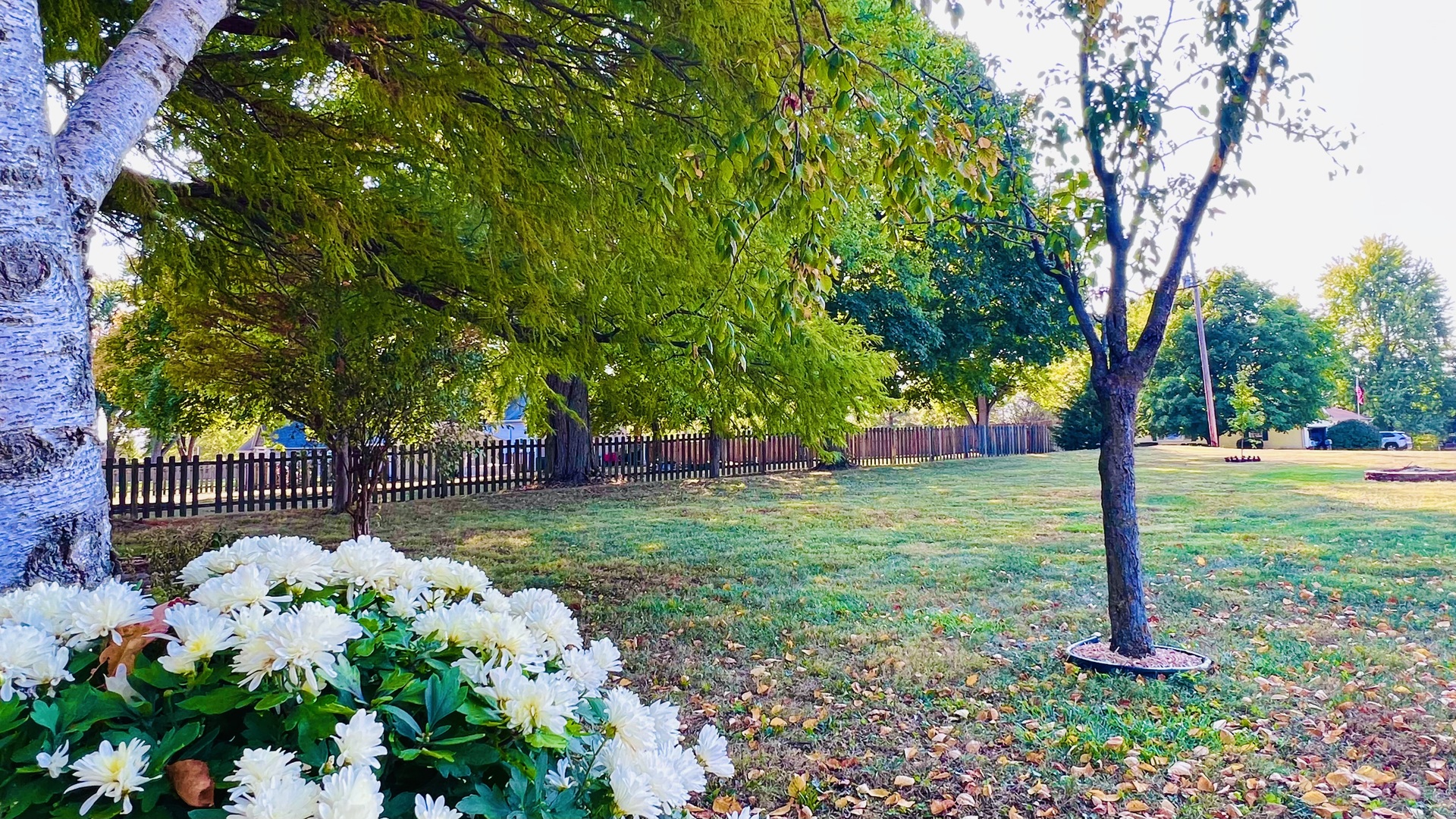 8533 N 1900 East Road, Bloomington, IL 61705