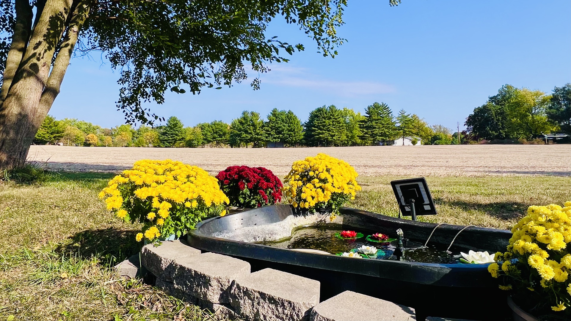 8533 N 1900 East Road, Bloomington, IL 61705