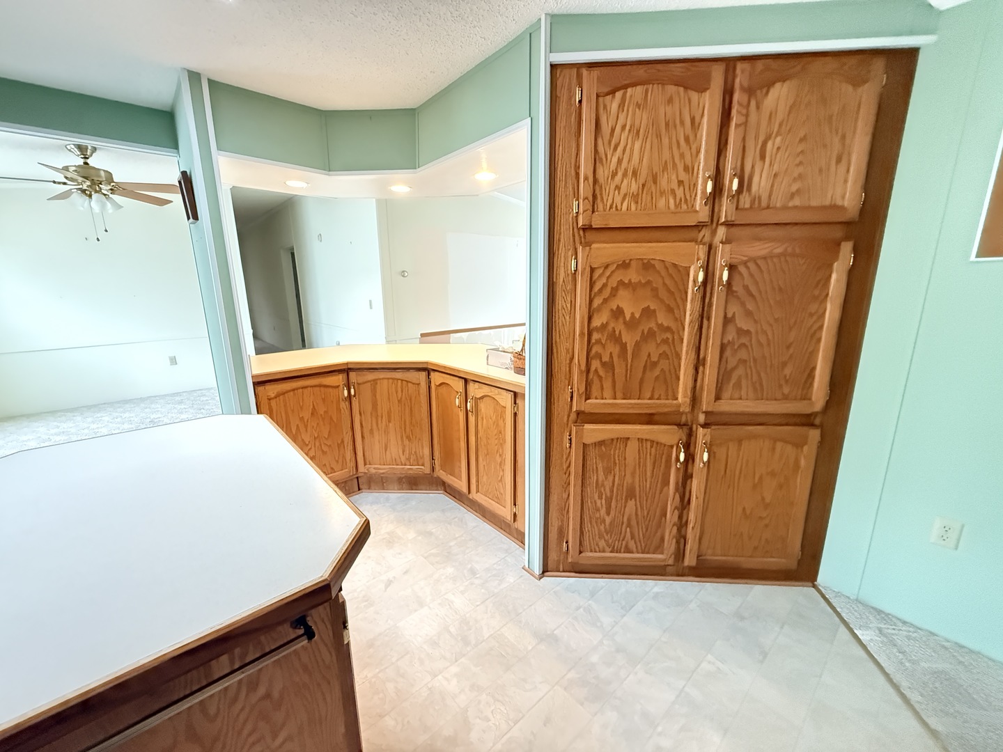 35 Partridge Lane, Beecher, IL 60401