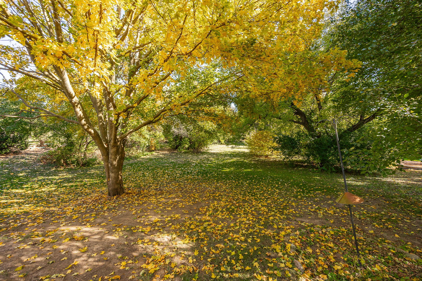 4915 Pershing Avenue, Downers Grove, IL 60515