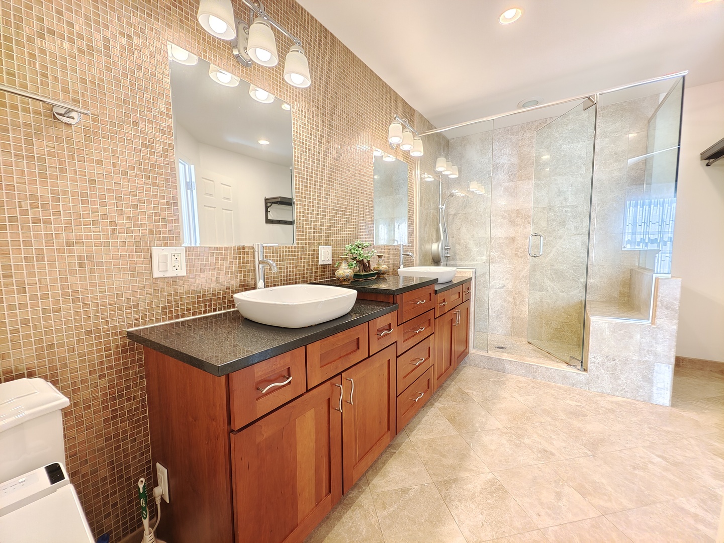 1778 Briggs Court, Lisle, IL 60532