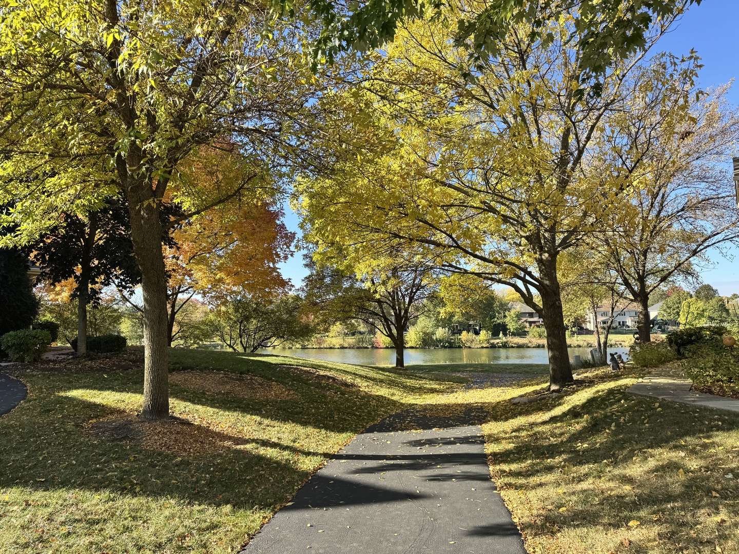 1778 Briggs Court, Lisle, IL 60532