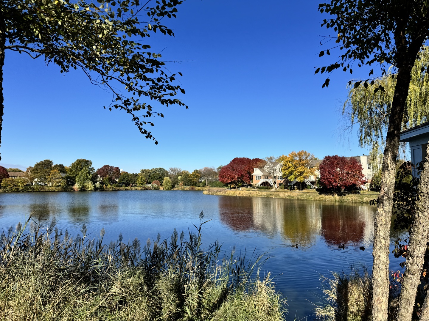 1778 Briggs Court, Lisle, IL 60532