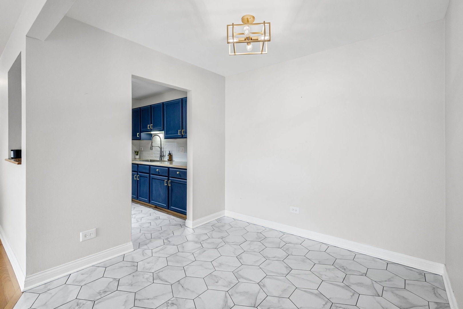 920 N Lakeside Drive #1D, Vernon Hills, IL 60061