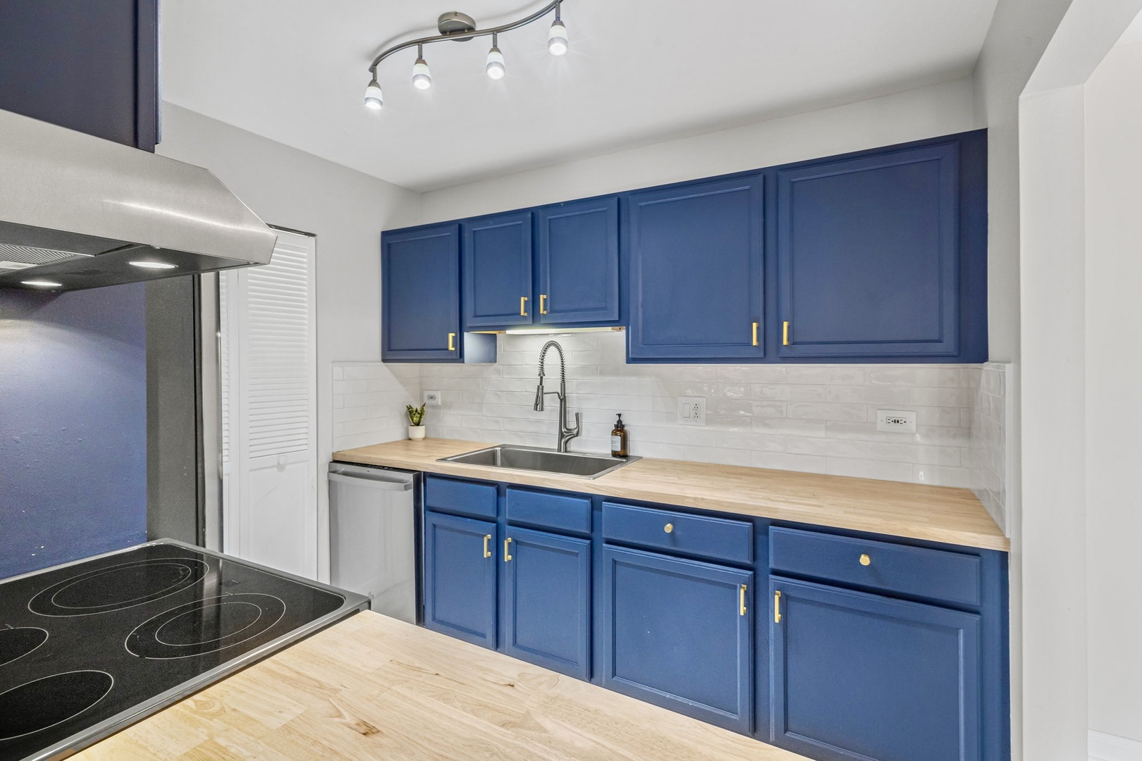 920 N Lakeside Drive #1D, Vernon Hills, IL 60061