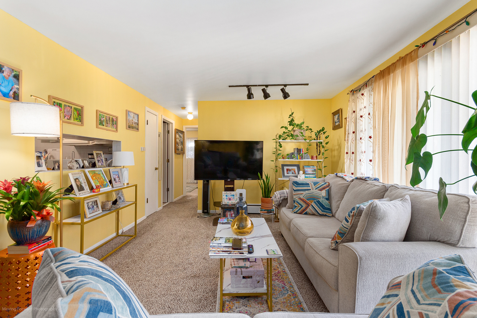 301 E Plainfield Road #6, La Grange, IL 60525