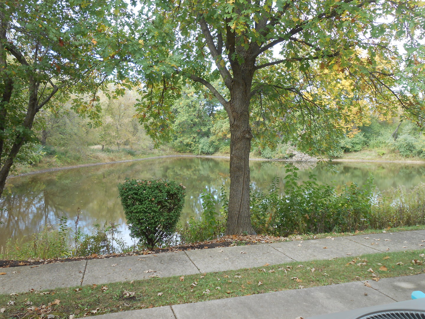 676 MORRIS Court, Lakemoor, IL 60051