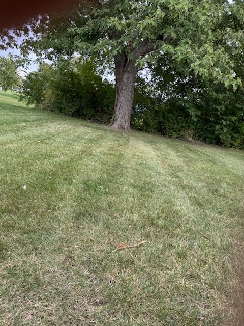 805 Regent Street, New Lenox, IL 60451