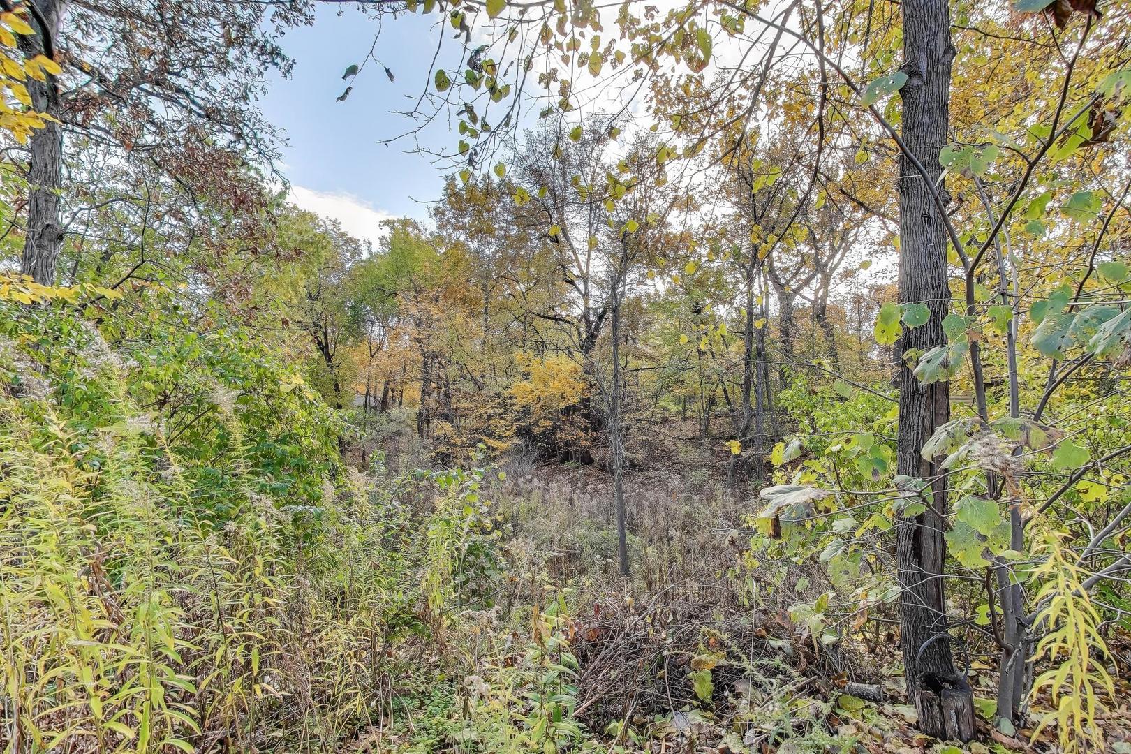 21465 W Crescent Drive, Mundelein, IL 60060