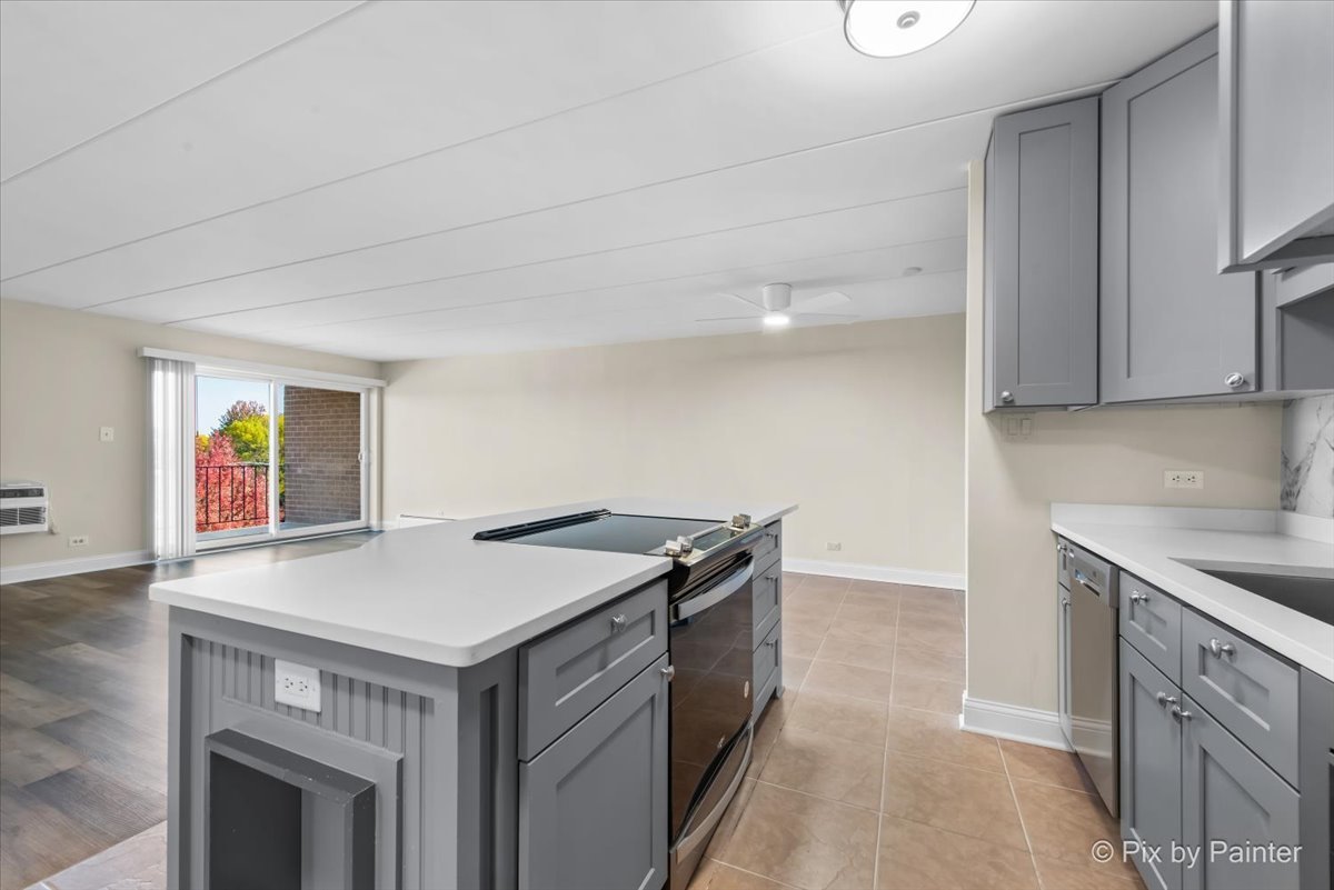 16 E Old Willow Road #417S, Prospect Heights, IL 60070