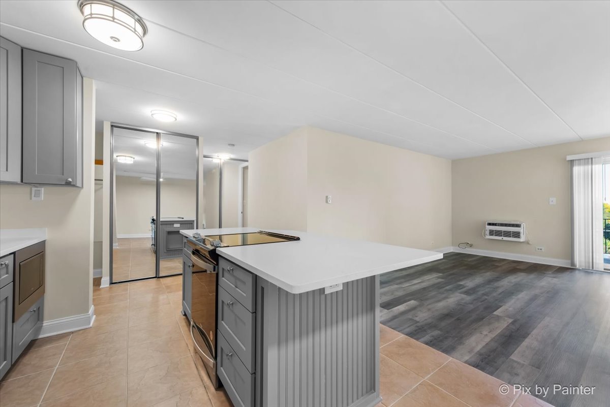 16 E Old Willow Road #417S, Prospect Heights, IL 60070
