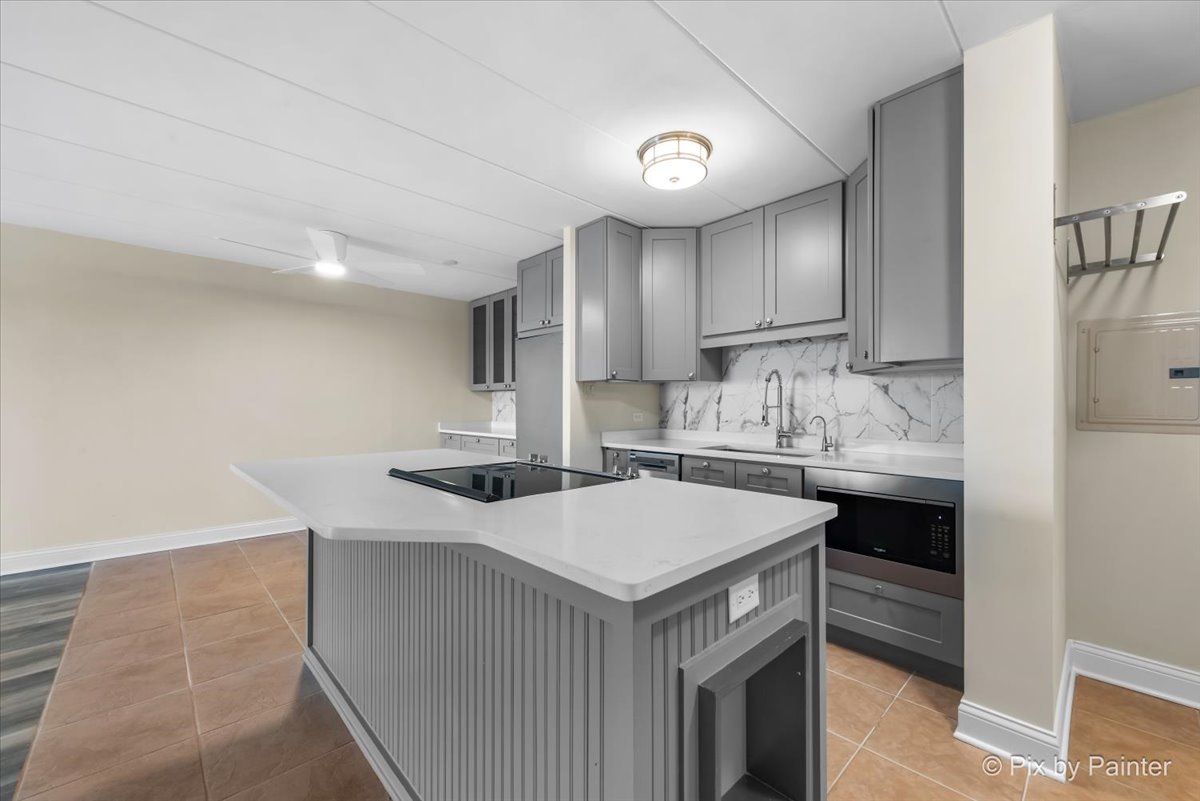 16 E Old Willow Road #417S, Prospect Heights, IL 60070