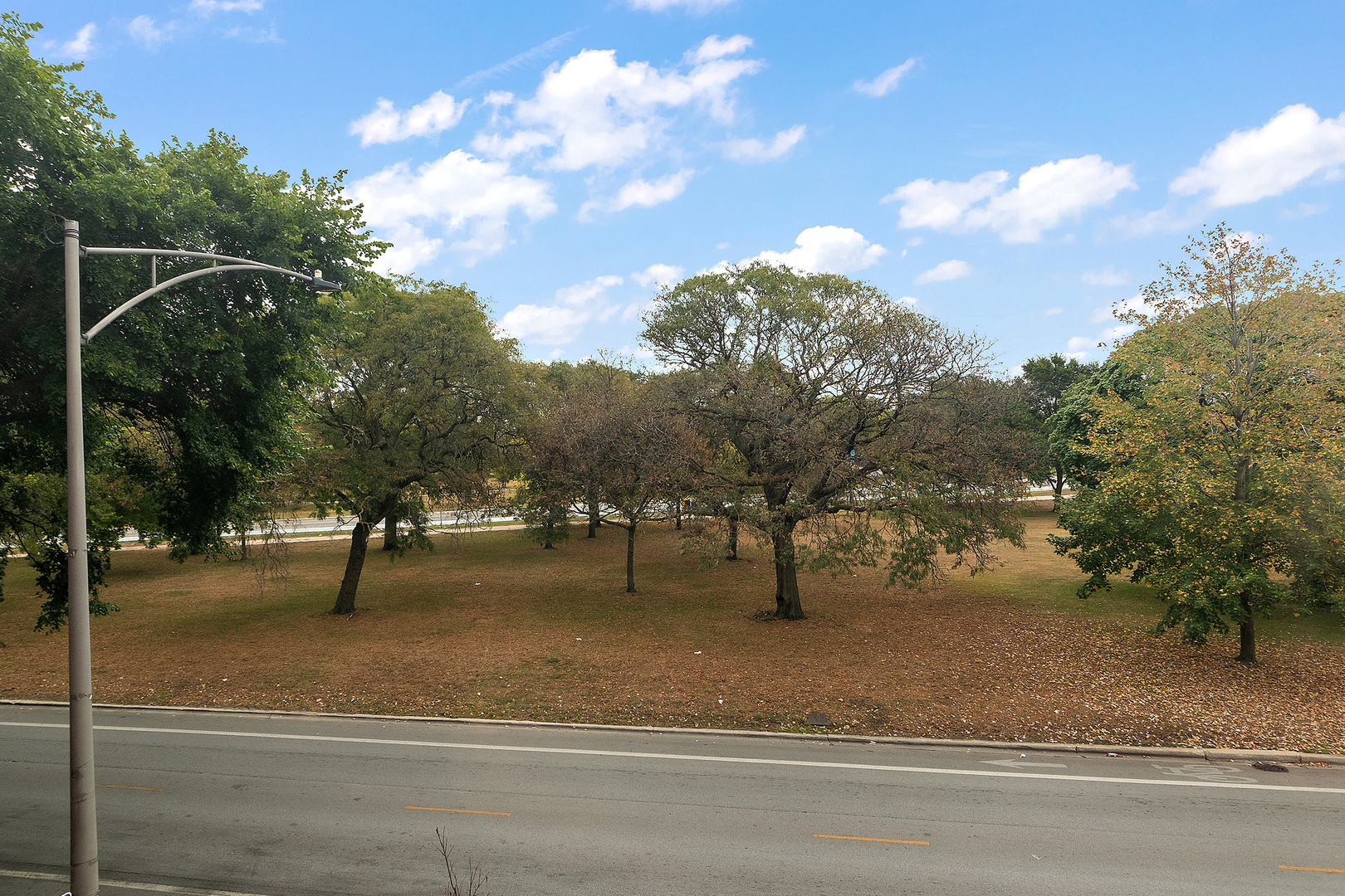 5150 S King Drive #2A, Chicago, IL 60615