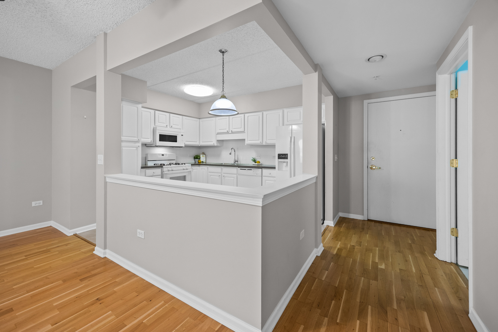 20 S MAIN Street #301, Mount Prospect, IL 60056