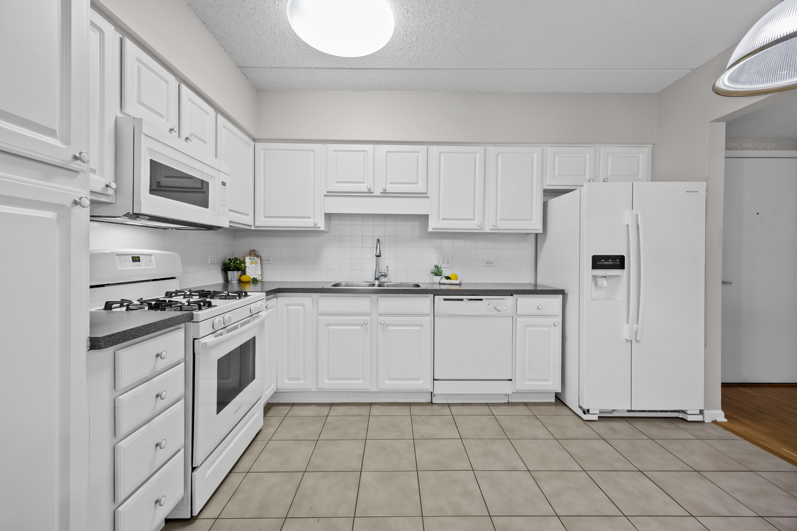 20 S MAIN Street #301, Mount Prospect, IL 60056