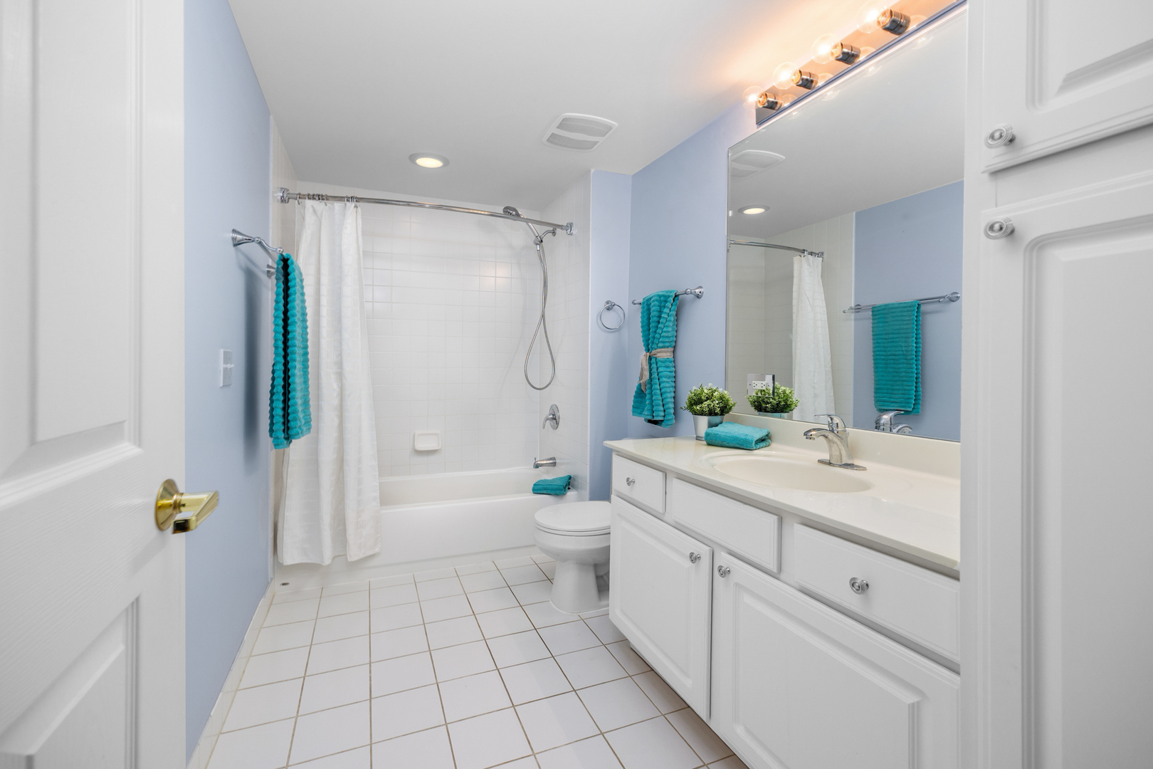 20 S MAIN Street #301, Mount Prospect, IL 60056