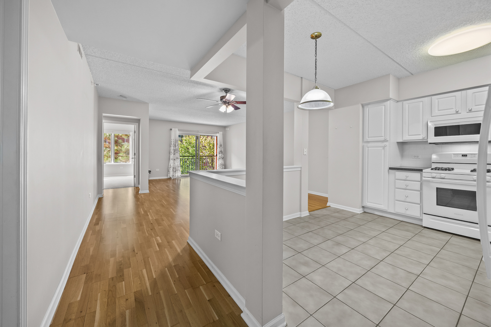 20 S MAIN Street #301, Mount Prospect, IL 60056