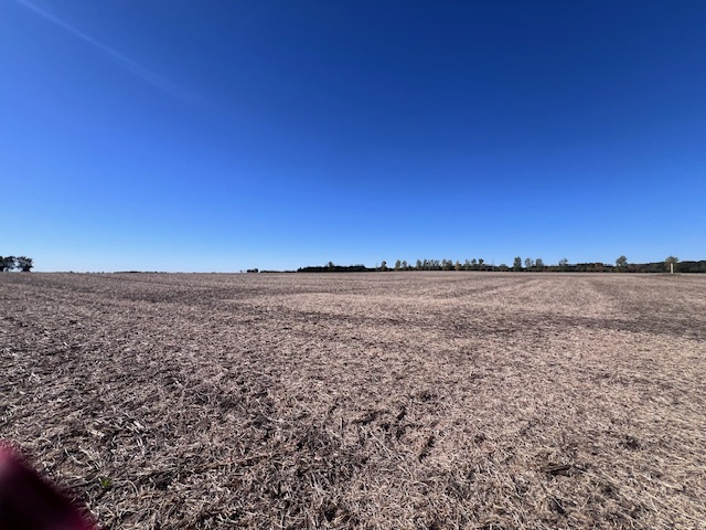 0000 White Pigeon Road, Weldon, IL 61882