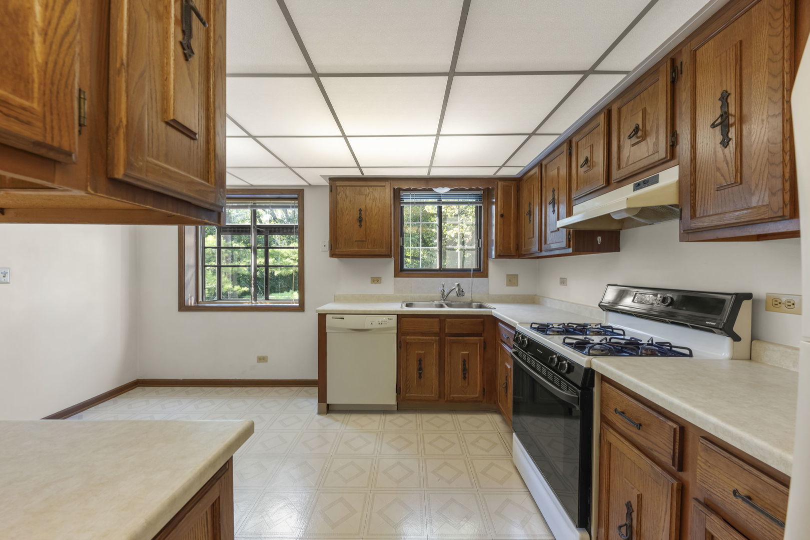 393 Duane Street #203, Glen Ellyn, IL 60137