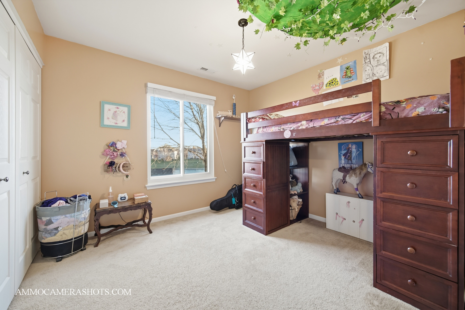 3306 Veronica Street, Plano, IL 60545