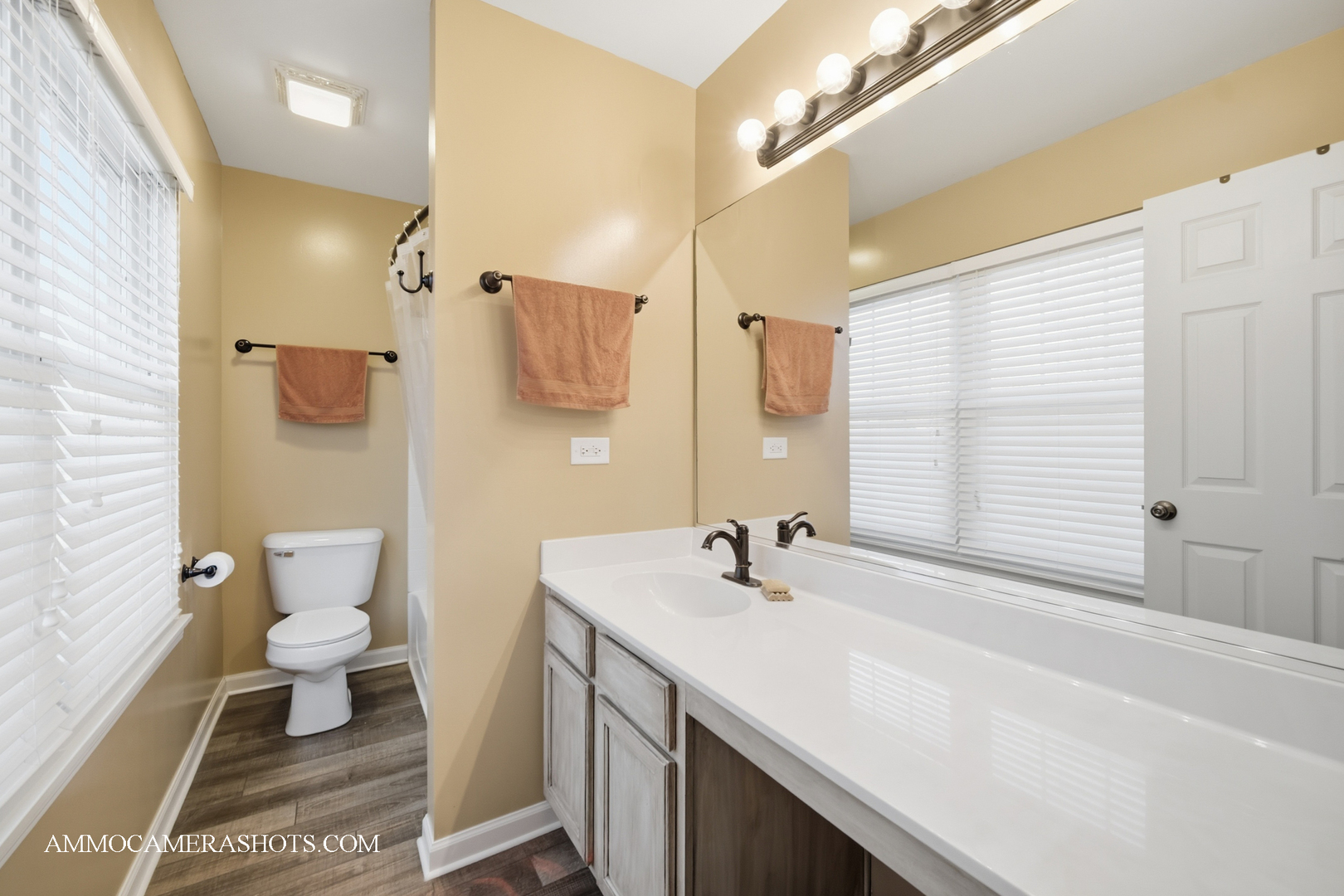 3306 Veronica Street, Plano, IL 60545