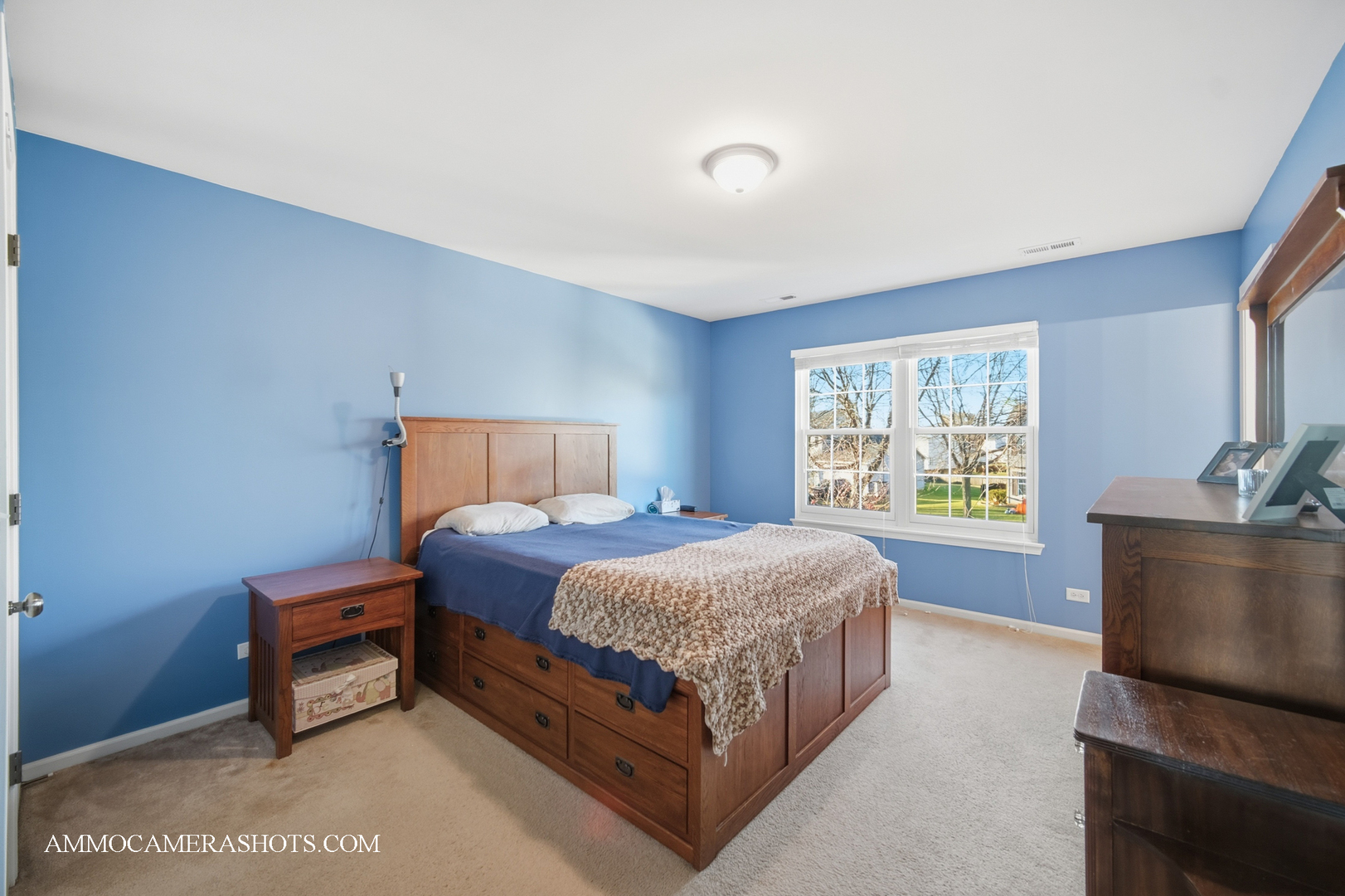 3306 Veronica Street, Plano, IL 60545