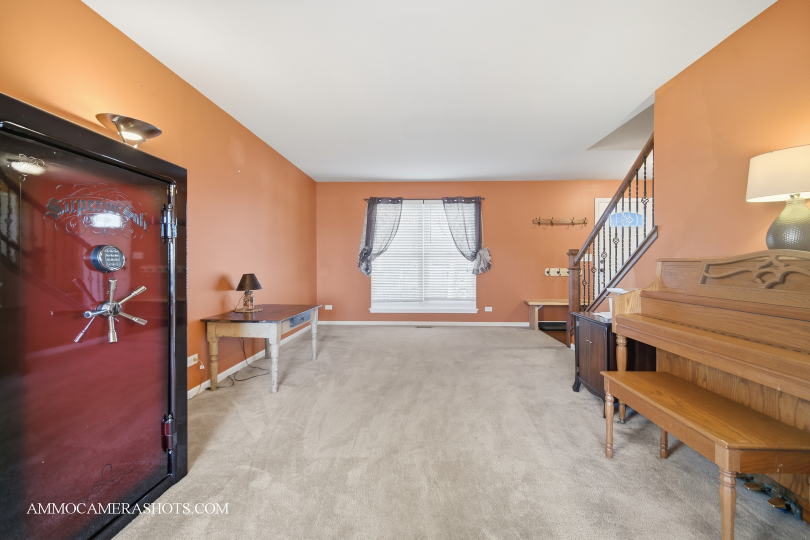 3306 Veronica Street, Plano, IL 60545