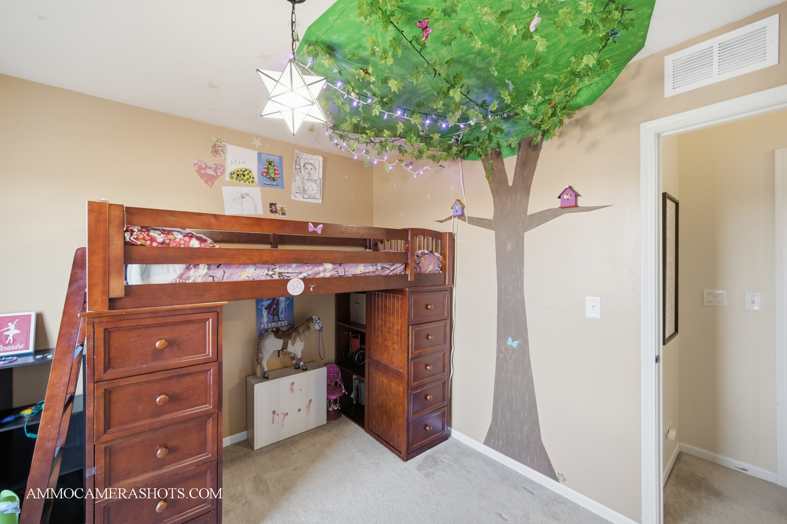 3306 Veronica Street, Plano, IL 60545