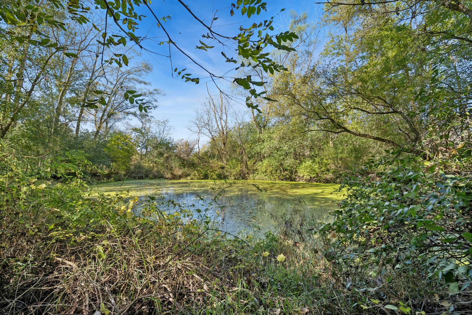 5116 Bonnie Brae Road, Richmond, IL 60071