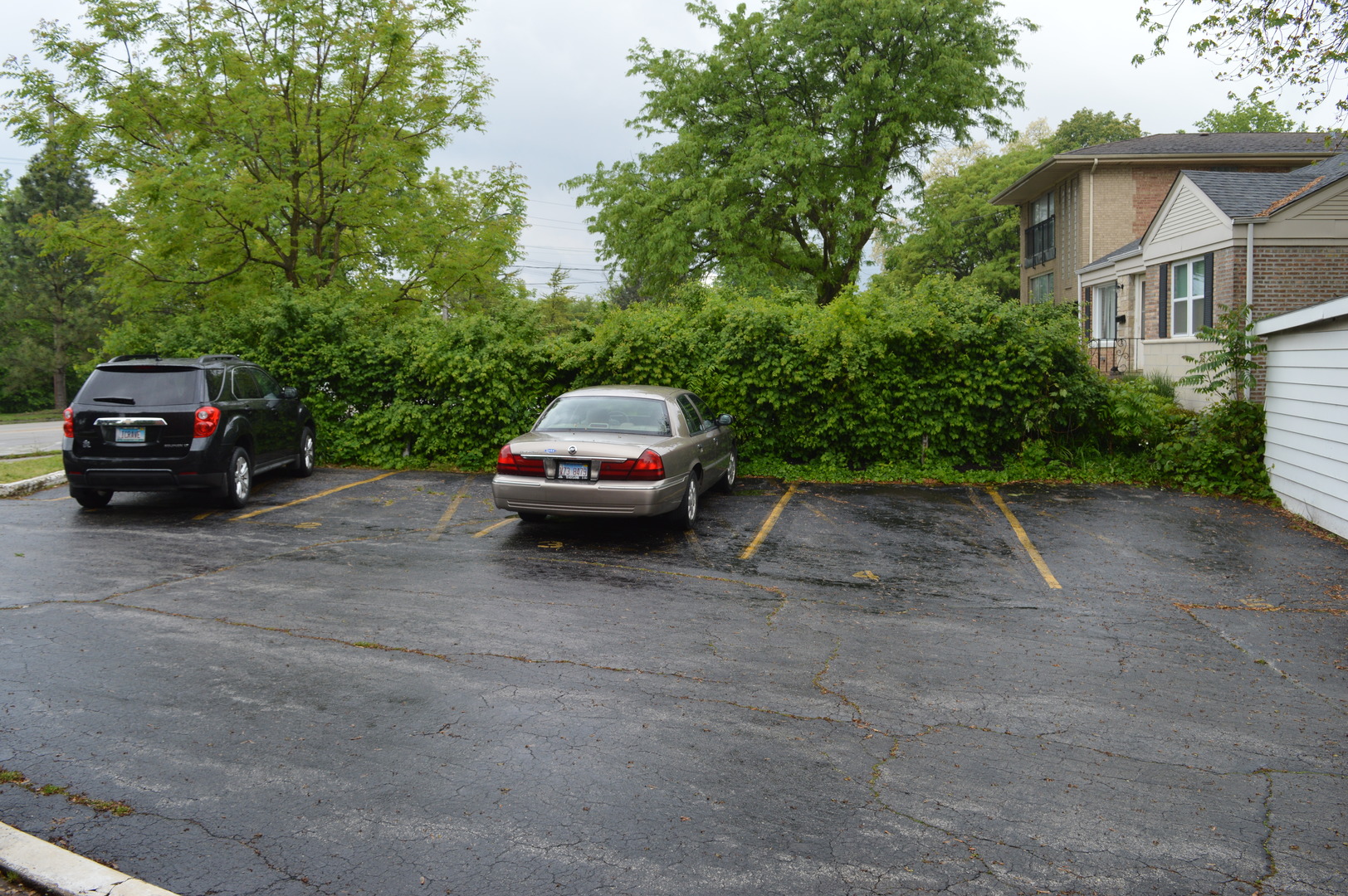 2025 Maple Road #1E, Homewood, IL 60430