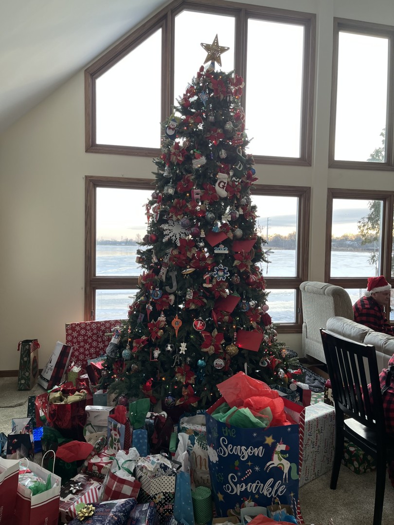 23231 W Lake Shore Drive, Antioch, IL 60002