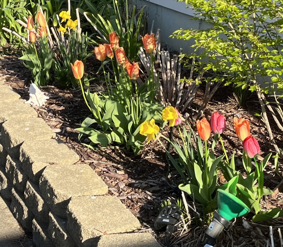 23231 W Lake Shore Drive, Antioch, IL 60002