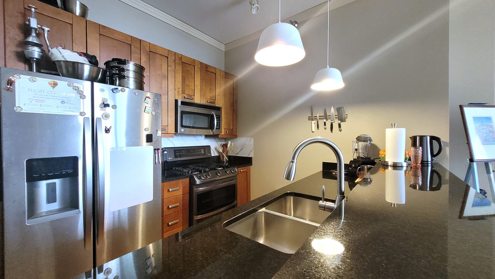 170 W Polk Street #1003, Chicago, IL 60605