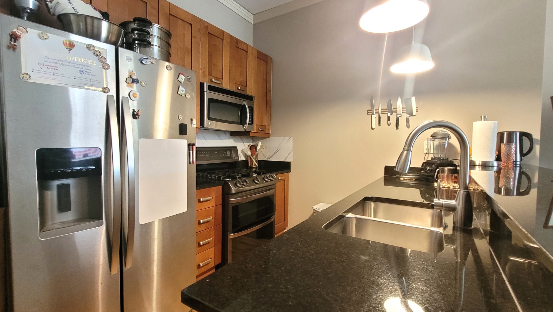 170 W Polk Street #1003, Chicago, IL 60605