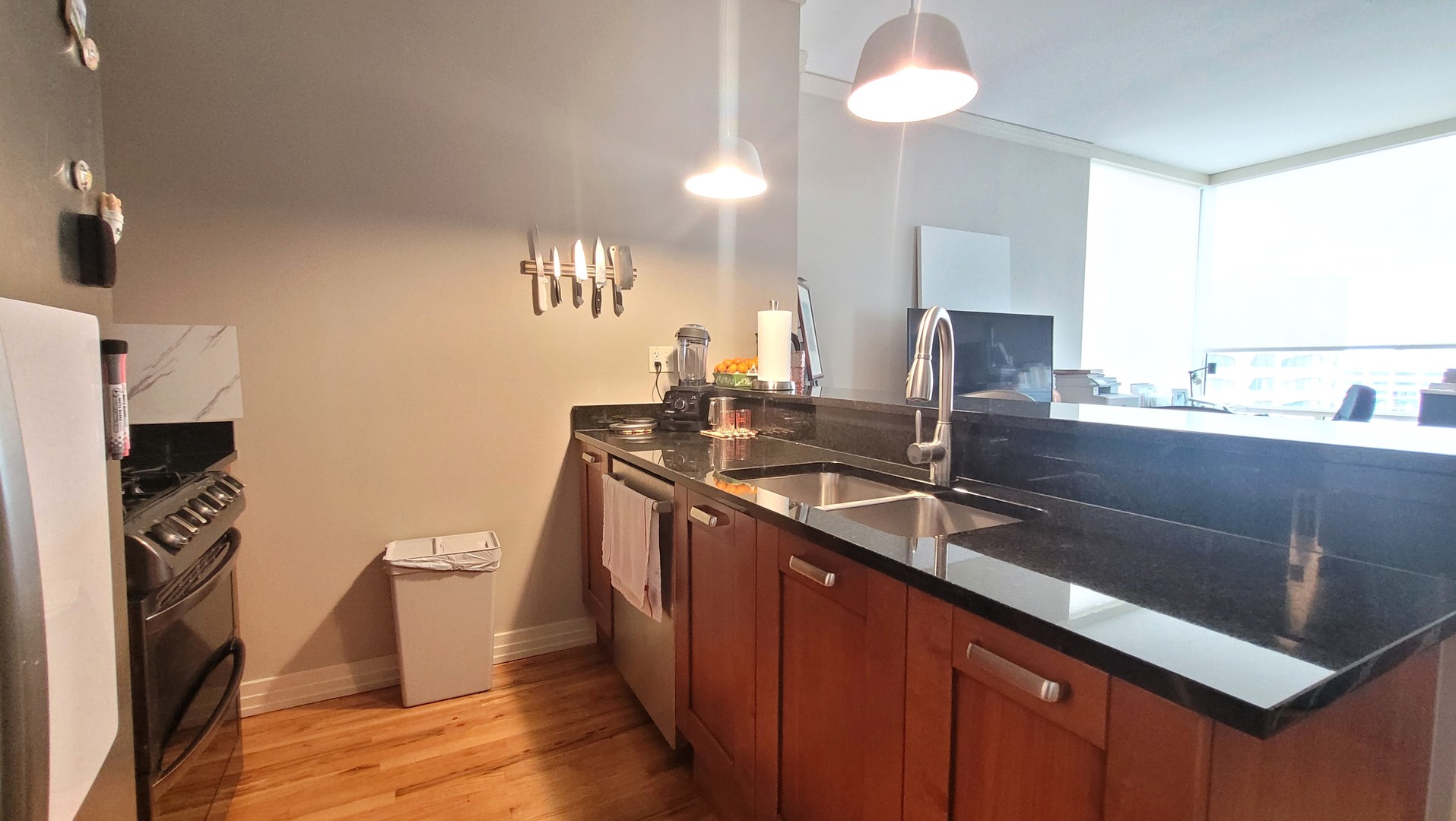 170 W Polk Street #1003, Chicago, IL 60605