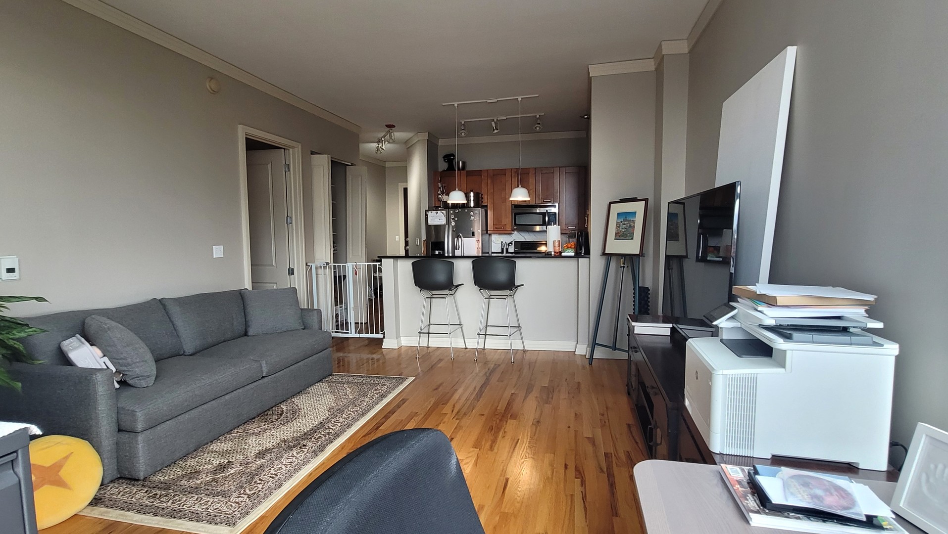 170 W Polk Street #1003, Chicago, IL 60605