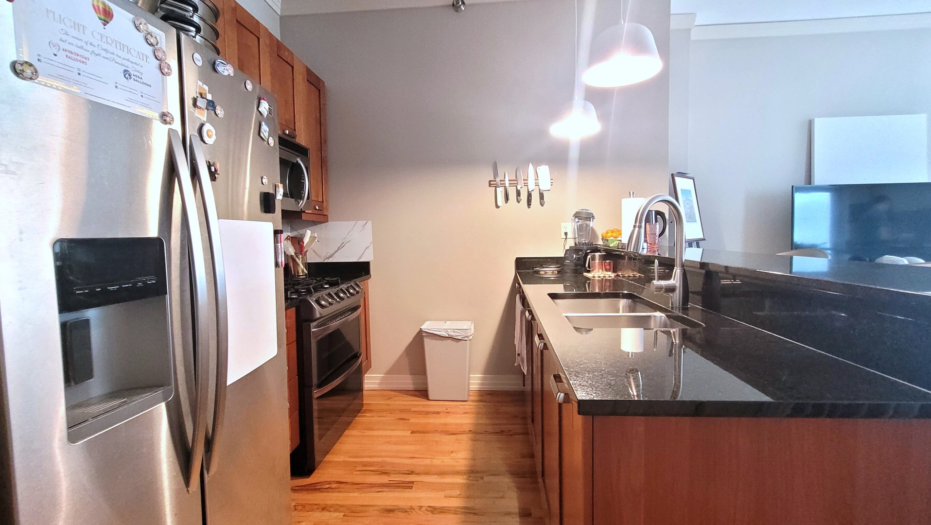 170 W Polk Street #1003, Chicago, IL 60605