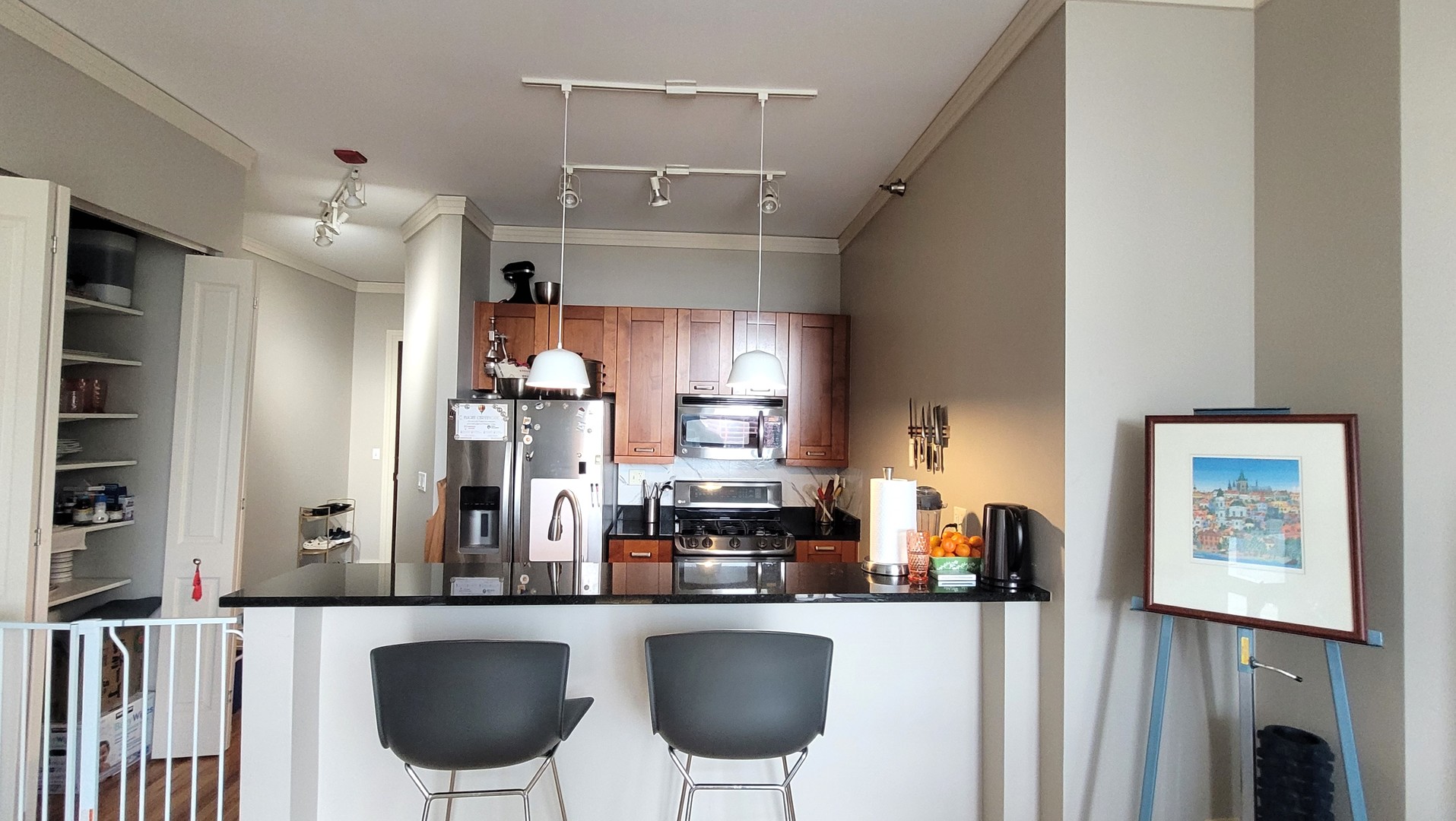 170 W Polk Street #1003, Chicago, IL 60605