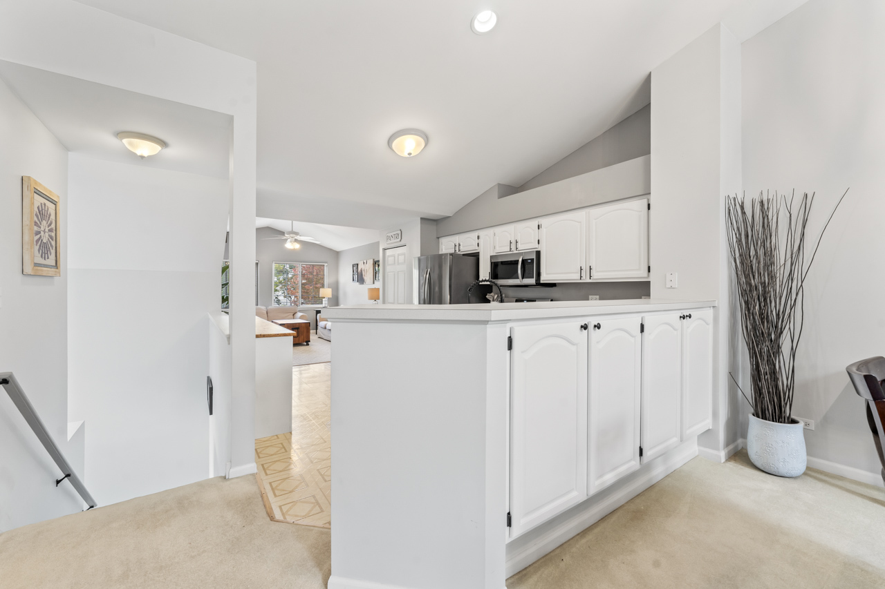 217 Sierra Pass Drive, Schaumburg, IL 60194