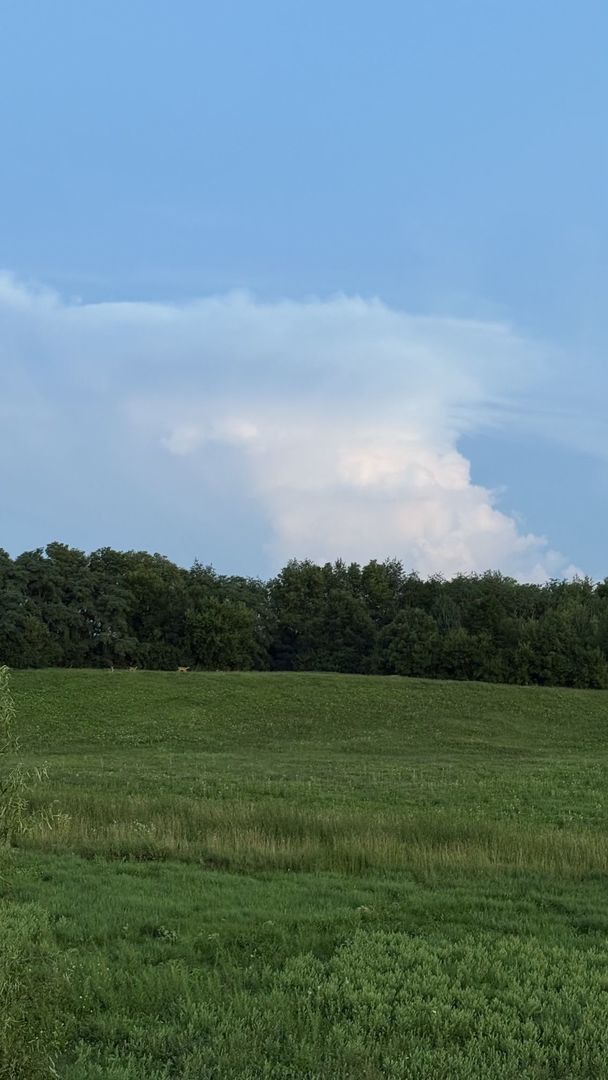 52 Winding Way, Bloomington, IL 61705