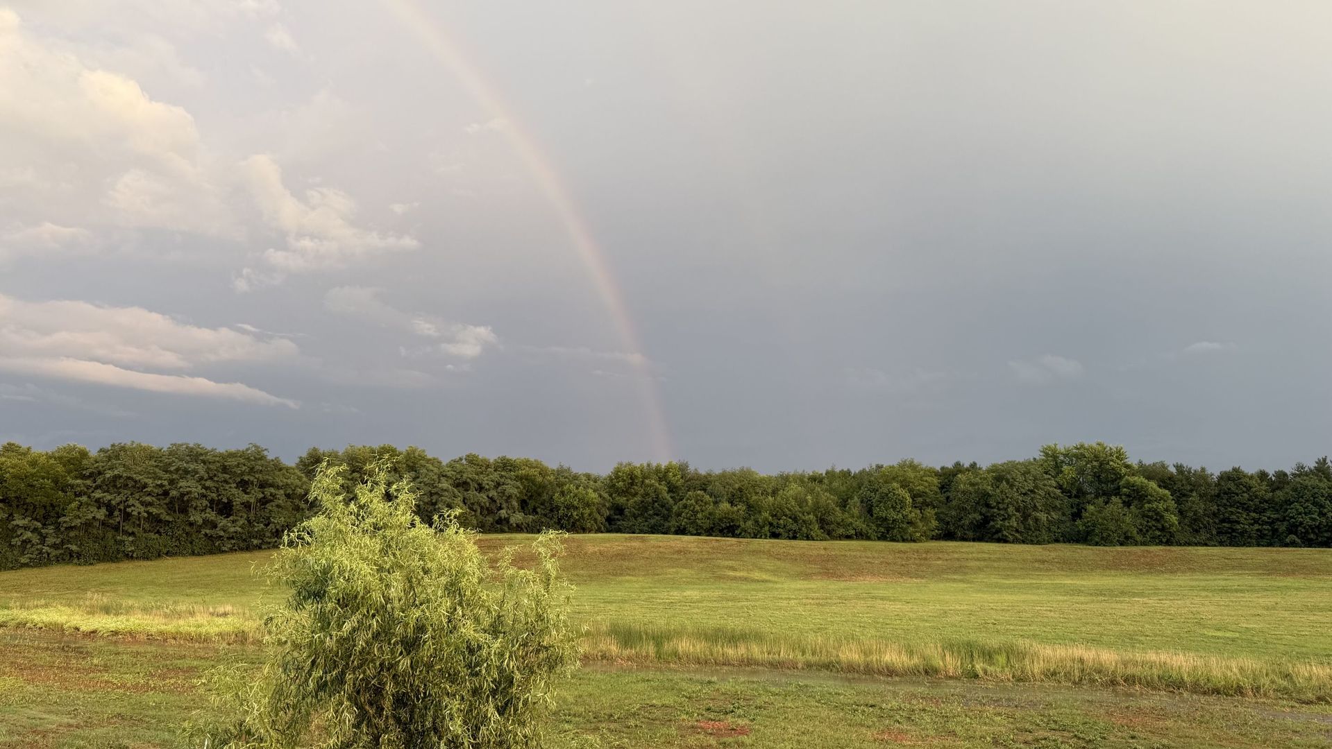52 Winding Way, Bloomington, IL 61705