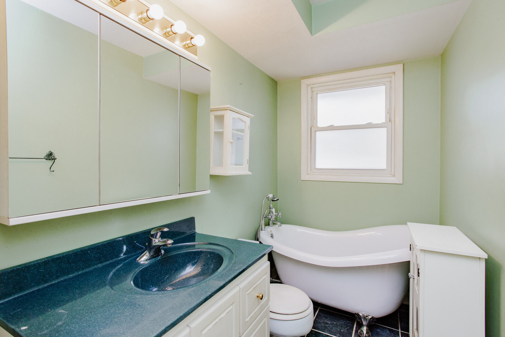 1849 W Spring Ridge Drive, Arlington Heights, IL 60004