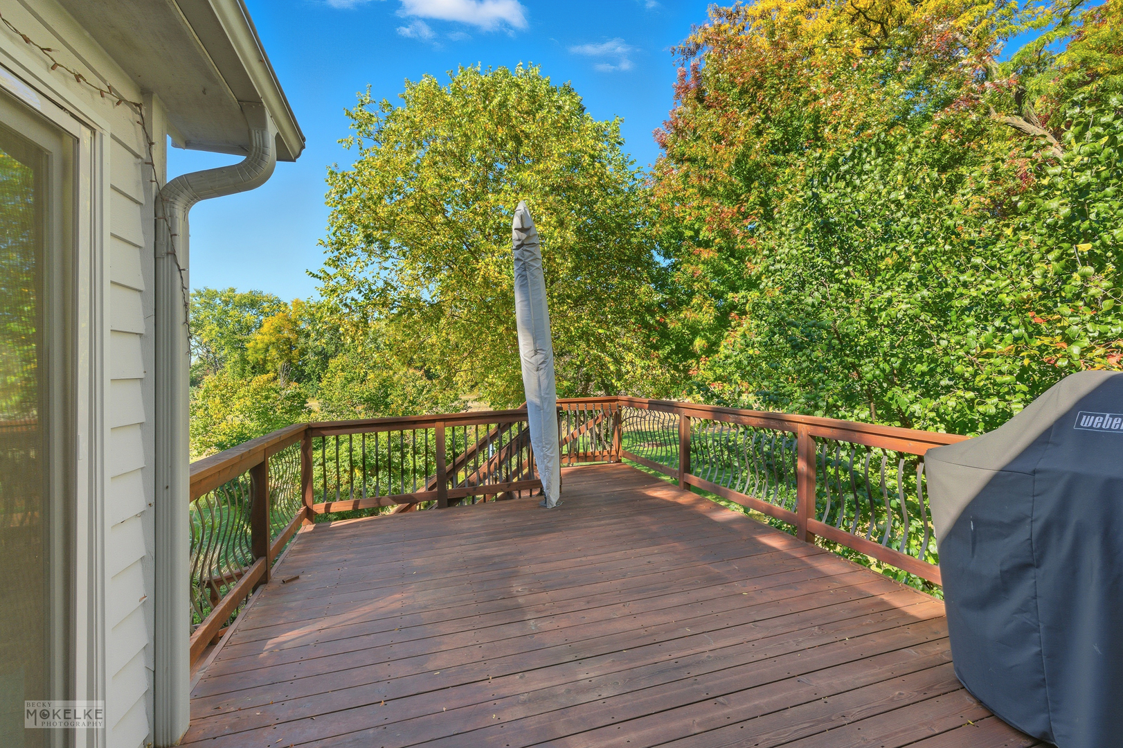 13822 Capista Drive, Plainfield, IL 60544